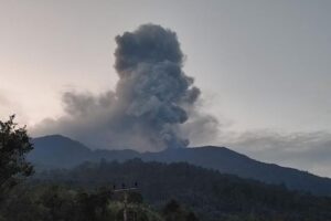 Hewan turun dari Gunung Marapi buat warga cemas