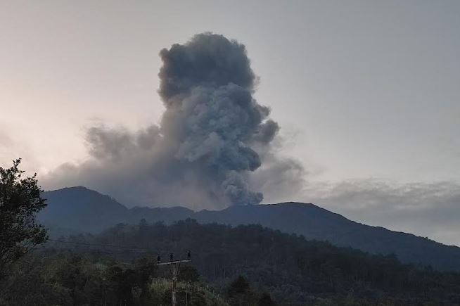 Hewan turun dari Gunung Marapi buat warga cemas