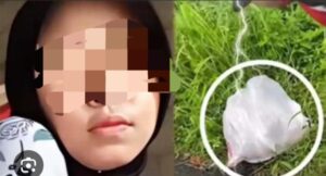 Terduga Pembunuh CNS, Gadis dalam Karung, Ditangkap di Aceh