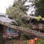 Hujan Disertai Badai Tumbangkan Pohon dan Rusak Bangunan Warga Kamang Magek