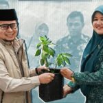 Dorong Ketahanan Pangan, Wawako Ibnu Asis Serahkan 300 Bibit Cabai